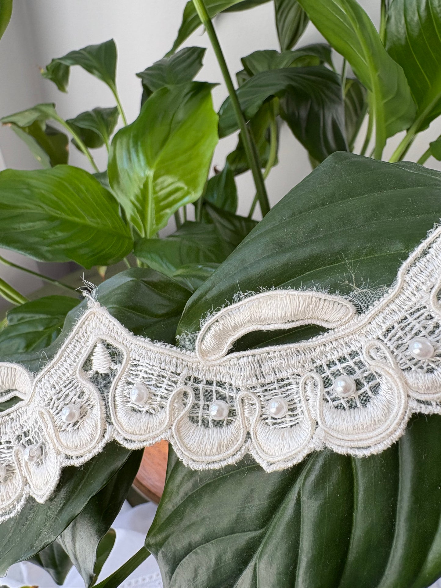 SCALLOP PEARL LACE TRIM 1" x 35"