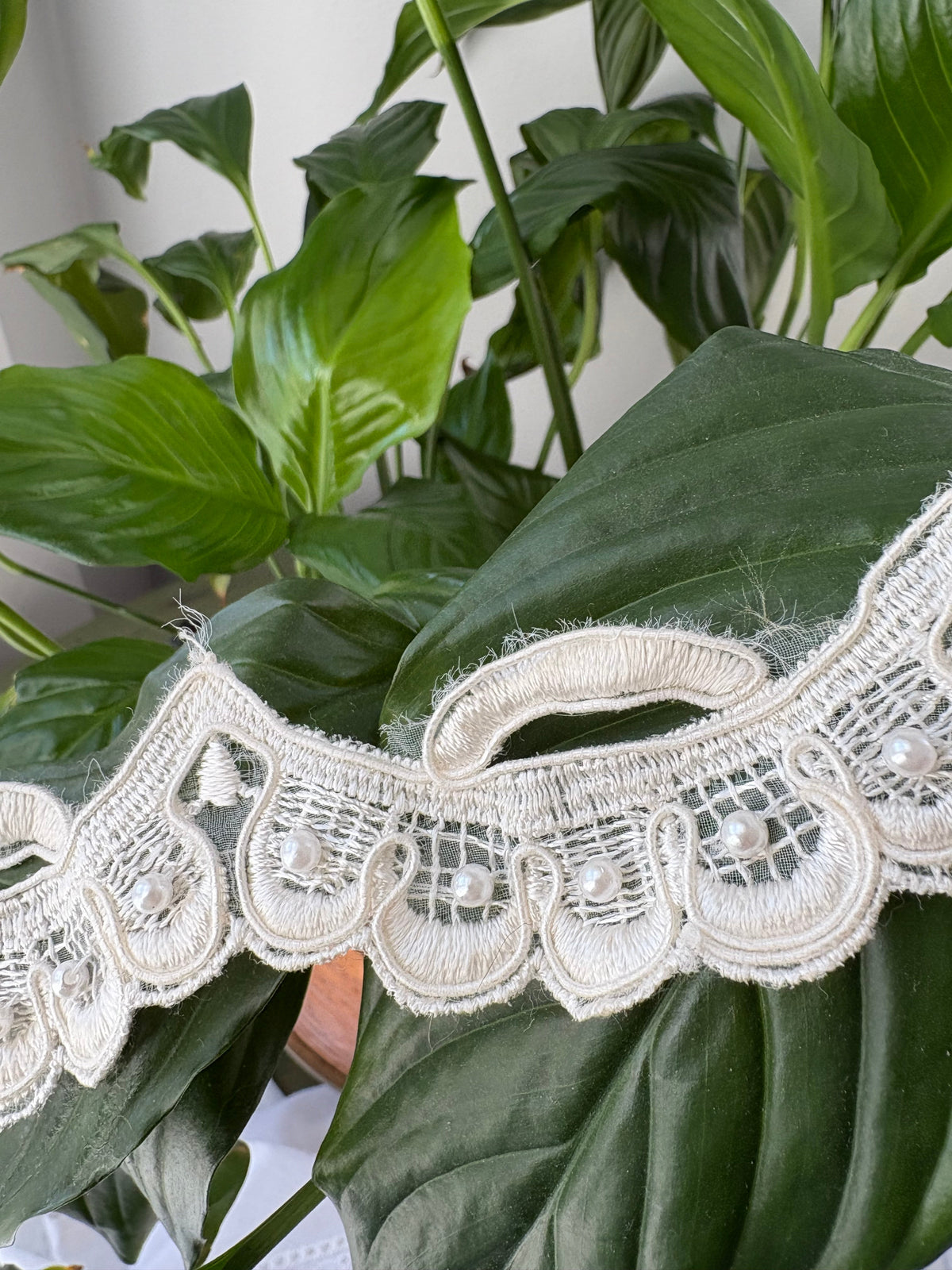 LACE TRIM