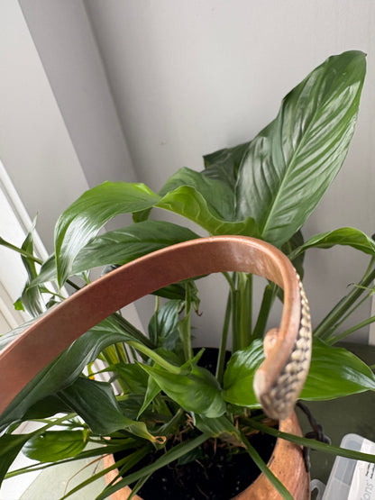 COPPER BRACELET