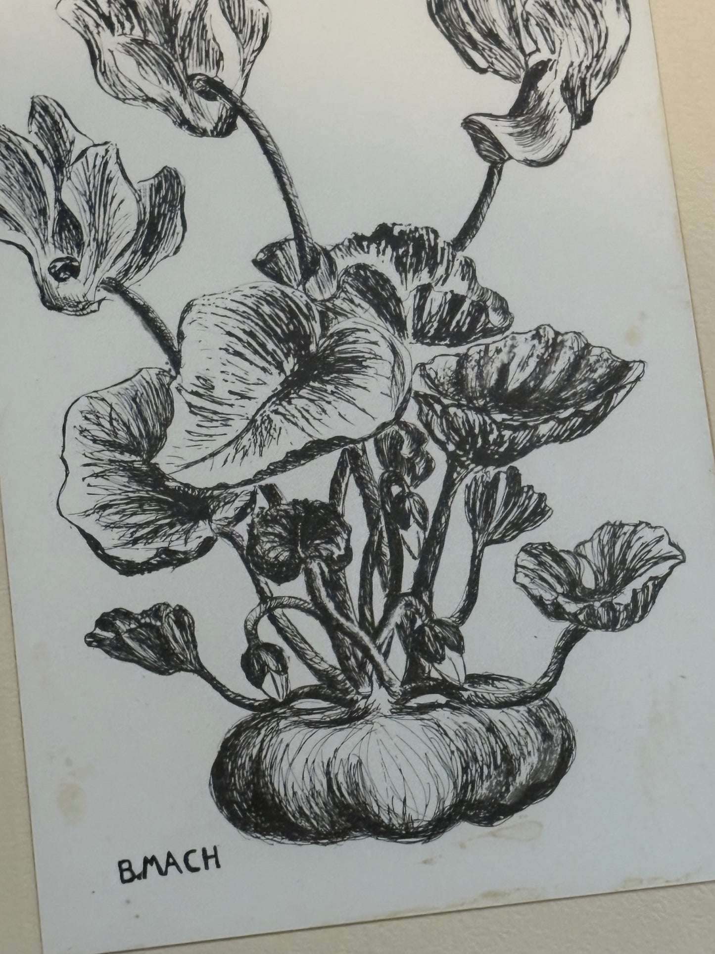 BOTANICAL PRINT FRAME