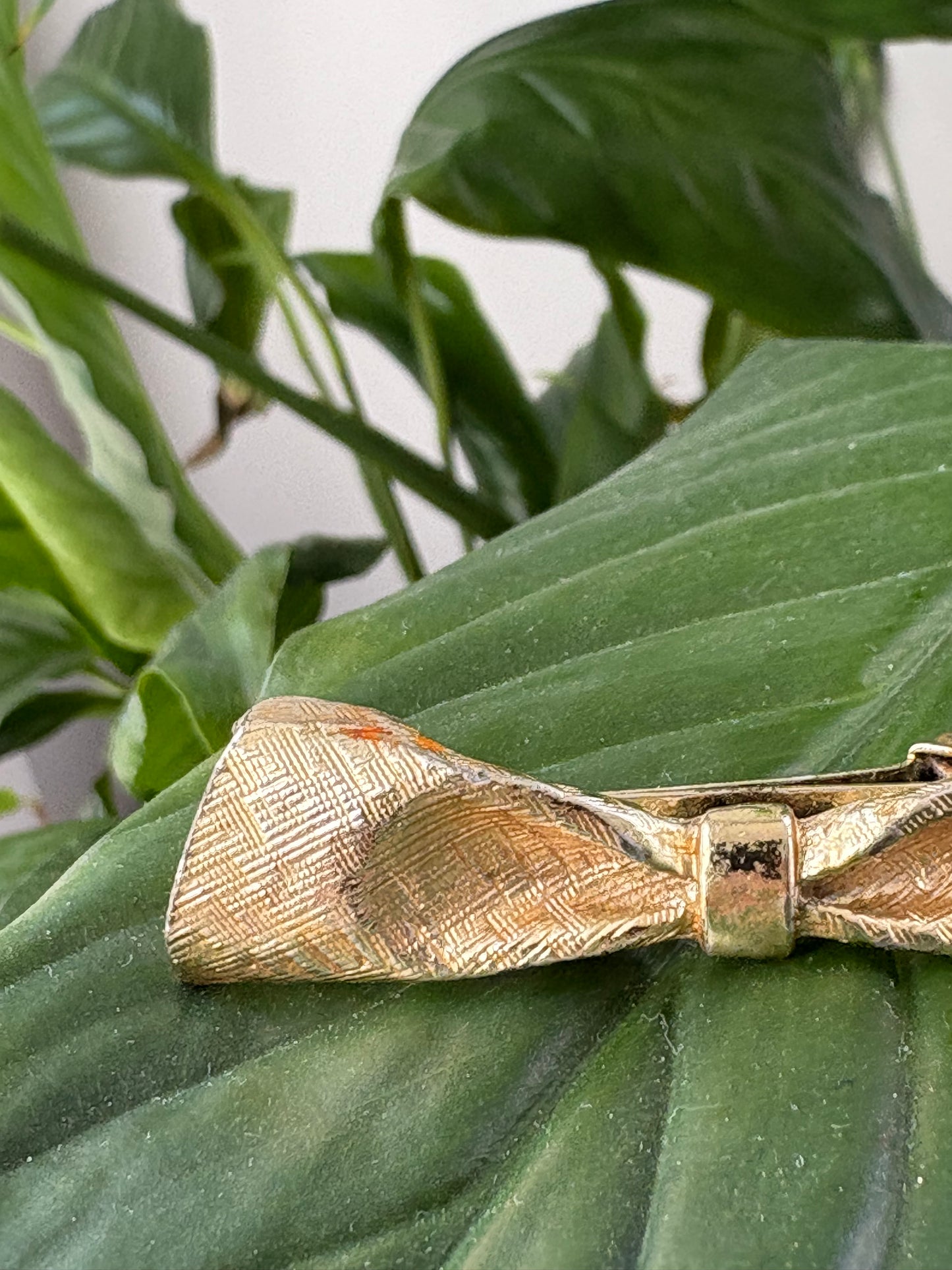 VASSAR BOW HAIR CLIP